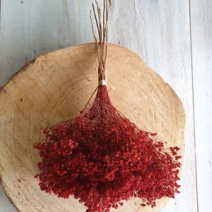 Broom rosa