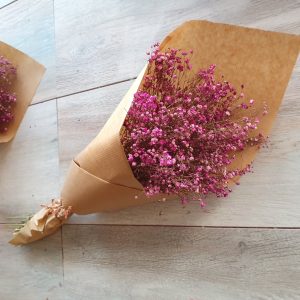 Paniculata rosa