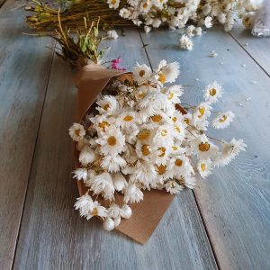 Ramo de rhodanthe